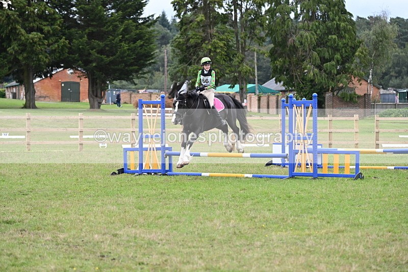 WJ6_1863 - 60cm Time 12:11 to 12:28