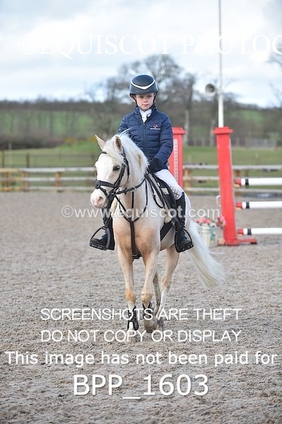 BPP_1603 - CLASS 8 Springboard