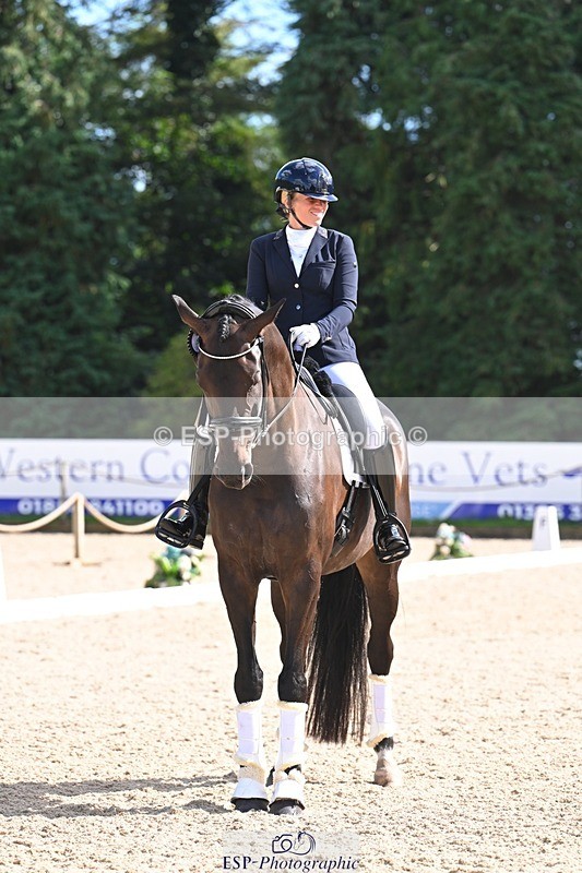 240809-162440-02359 - Preliminary Gold