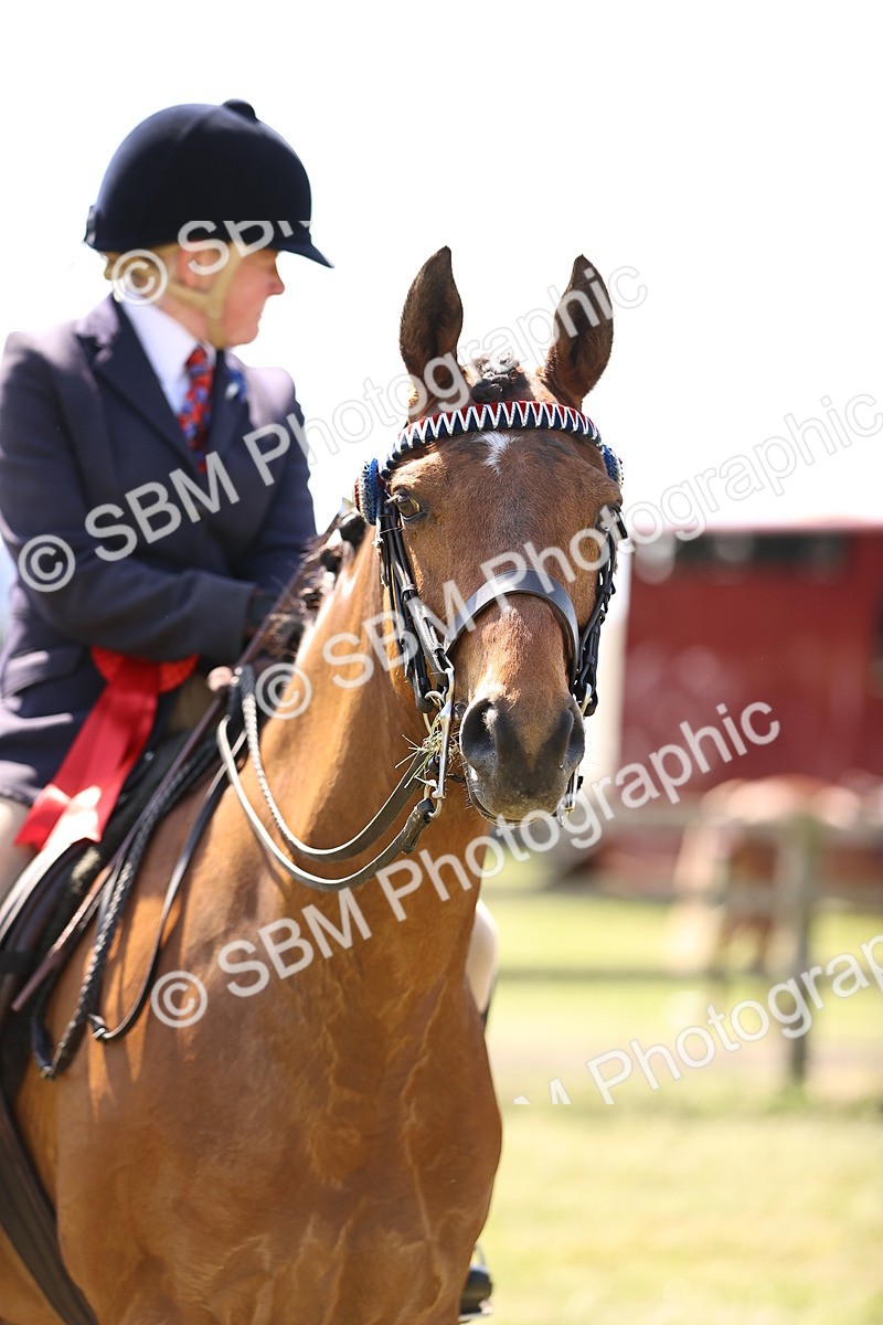 SBM_18068 - Class 81-83 - TSR Ridden Amateur of the Year - Horses
