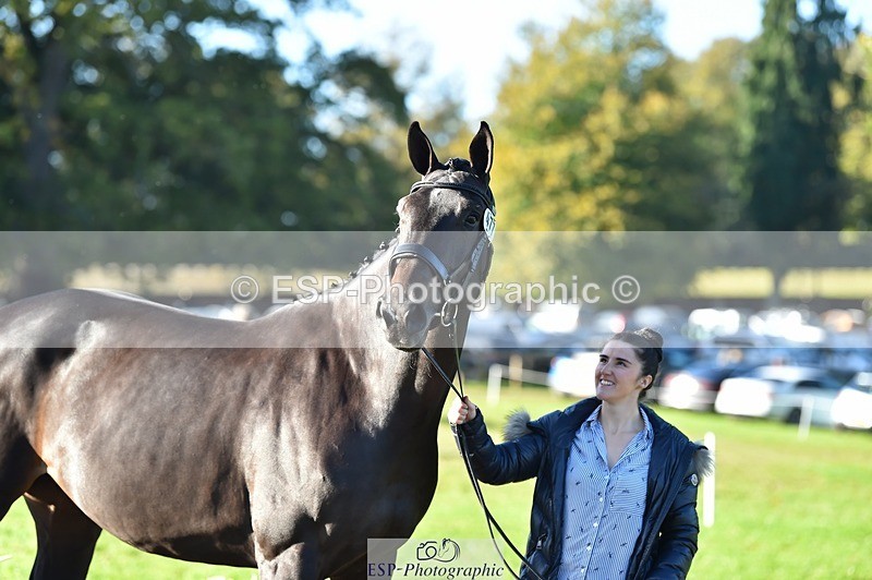 231022-103038-22534 - 477-NPS.KLASSEY-Elizabeth.Jones-TrotUp+SJ