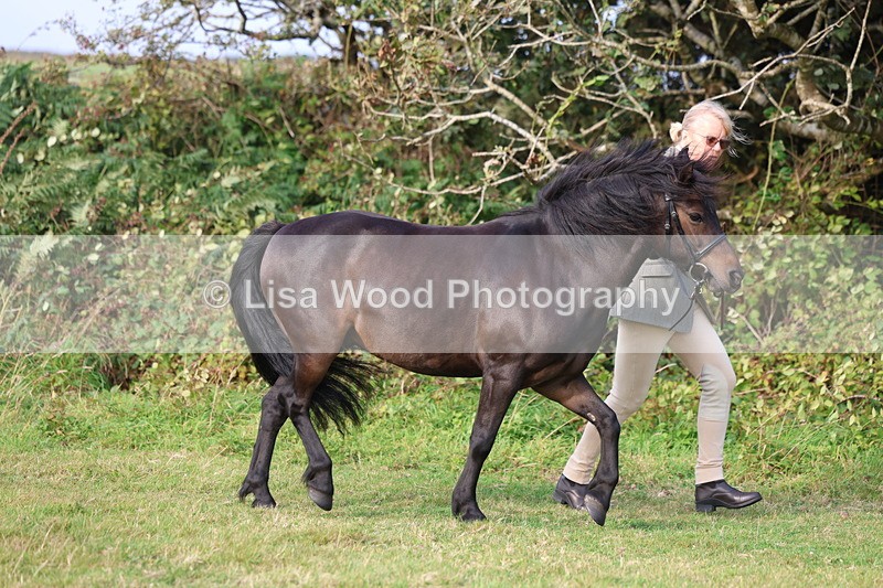 3E7A3174 - Class 12: M & M Small Breeds