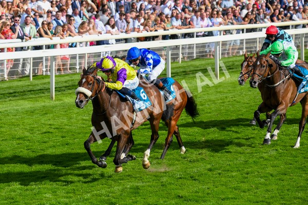 290723-Race 6-Dark Moon Rising-0951 - Race 6 5.10pm Betting Better With Sky Bet Handicap