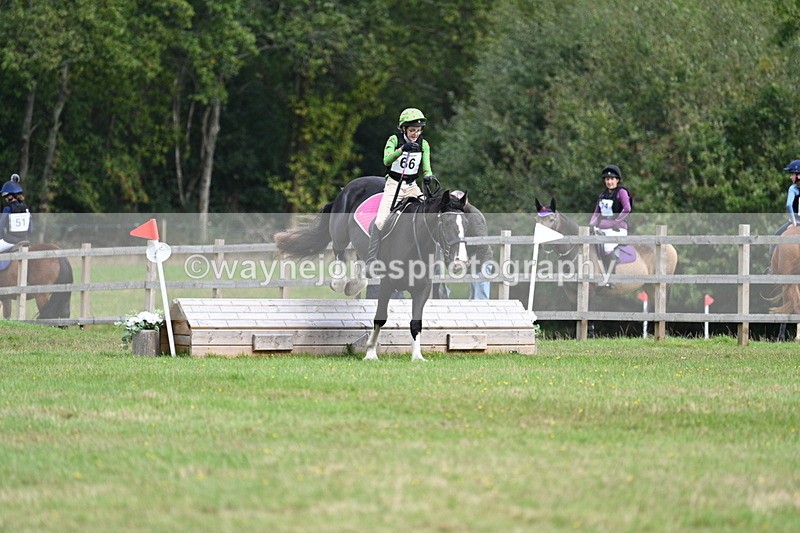 WJ7_8932 - 60cm Time 12:31 to 12:50