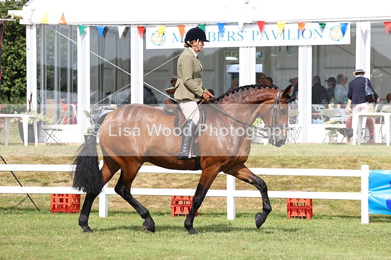 3E7A9295 - Class 4: Rising Star M/H Hunter