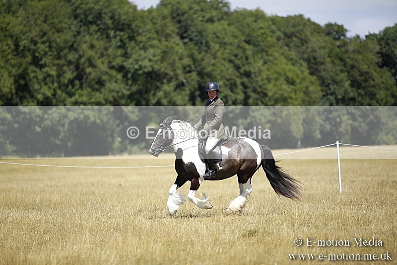 _C7A9955 - BVRC Show 2018 Ring 1