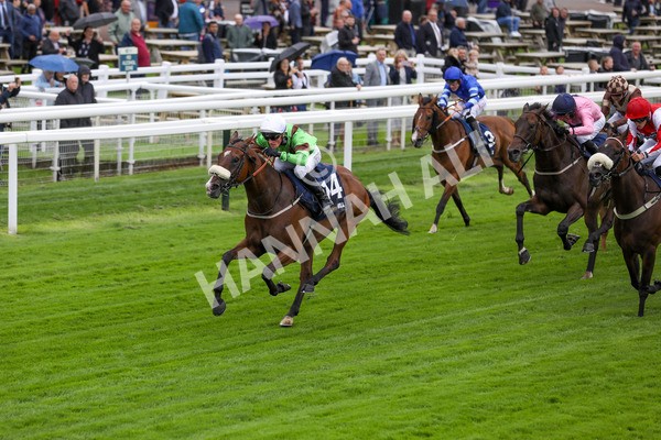 120724-Race 1-Tolstoy-1598 - Race 1 2.05pm William Hill Extra Place Races Daily Handicap