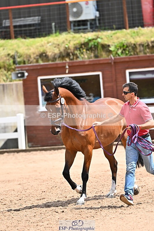 240718A-105307-01590 - Trot Up 1pm to 2pm