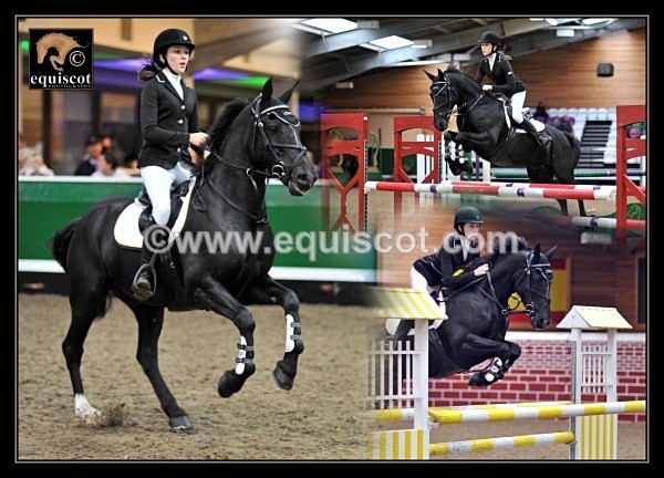 equiscot ailsa black paddioco montage - 2012 BSJA SCOTTISH AWARDS BALL PRIZEWINNERS MONTAGES