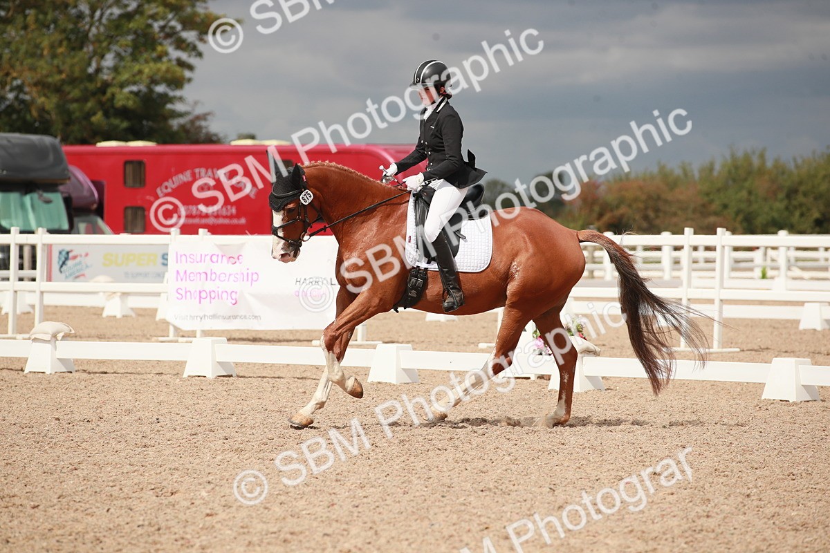 SBM_05968 - Class 32 - Novice 1