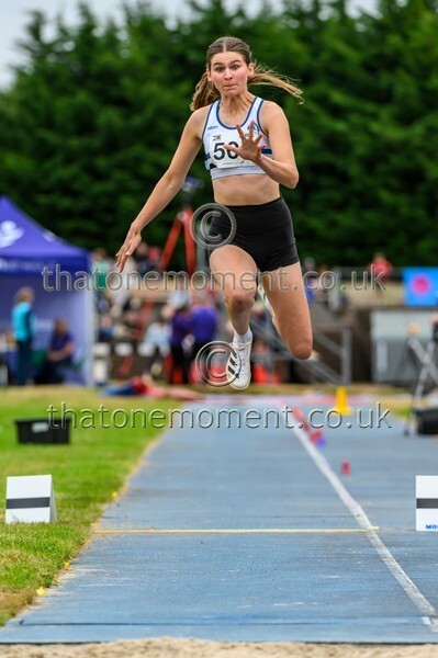 Sen25SAT-926227 - Field Female Set Two