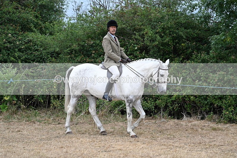 WJ7_0740 - Class 7 Riding Club Show Horse