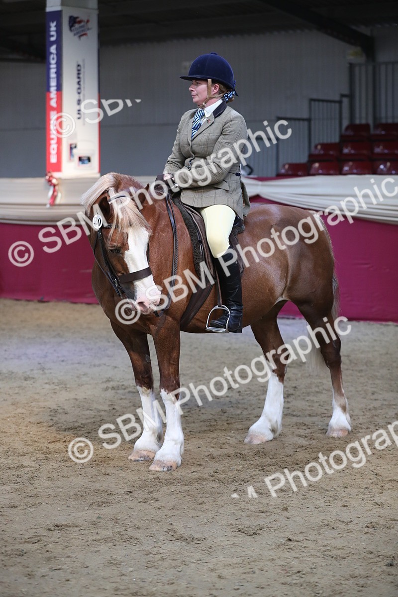 SBM_08370 - Class 11R Regional Ridden Veteran