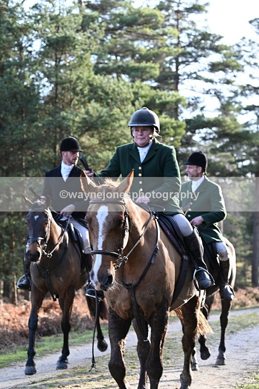 WJ7_7718 - Line 3 (no line 4 or 5)