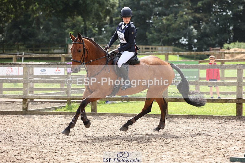 240804-120829-13010 - 464-Tichy_Sanders-SPARHANGER_VELVET