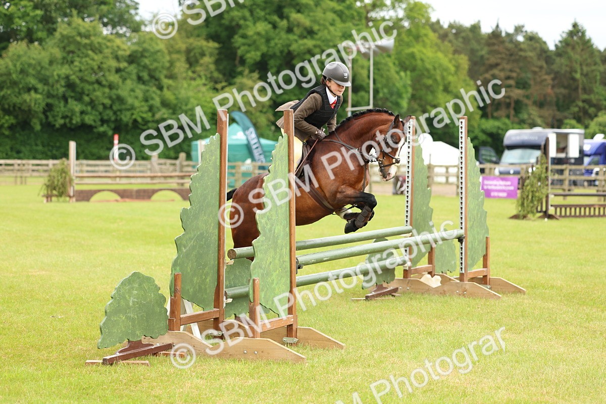 SBM_10297 - Class 44-45 - LIHS BSPS Open Nursery and Cradle Stakes