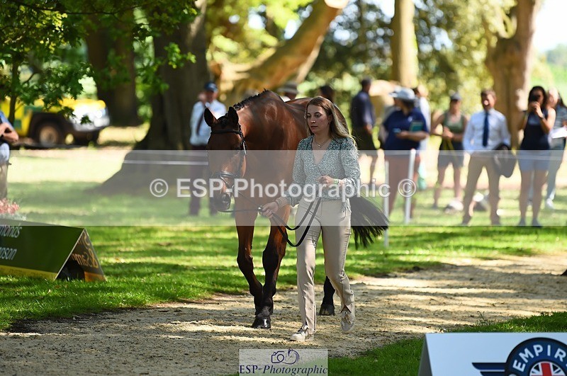 230524-154846-00517 - 377-GOLD_NUGGET-Jillian_Giessen-WEDTrotUp+DR