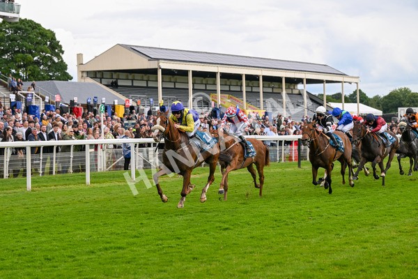 140624-Race 5-Ron O-4854 - Race 5 4.10pm Juddmonte EBF Fillies Restricted Novice Stakes