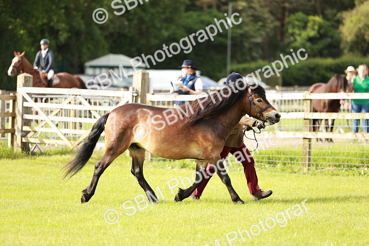 SBM_00446