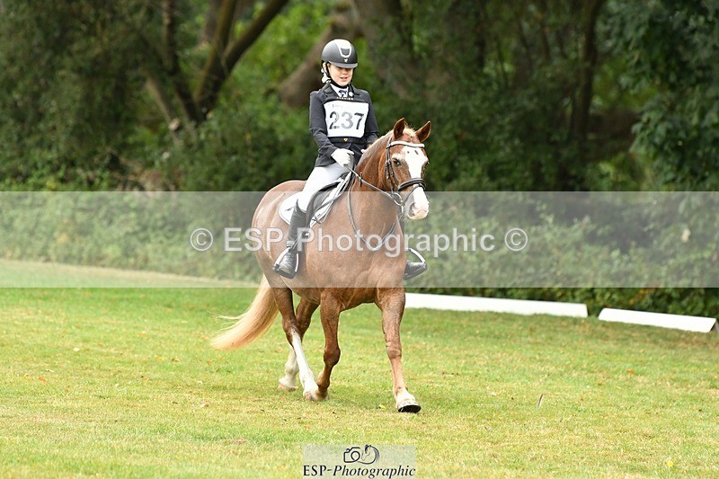 250820A-121432-05506 - 12 to 13.00