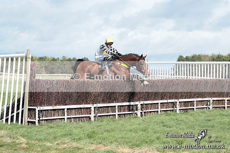 PtP 230324 289 - Tedworth Hunt PtP Larkhill Raccourse 23rd March 2024