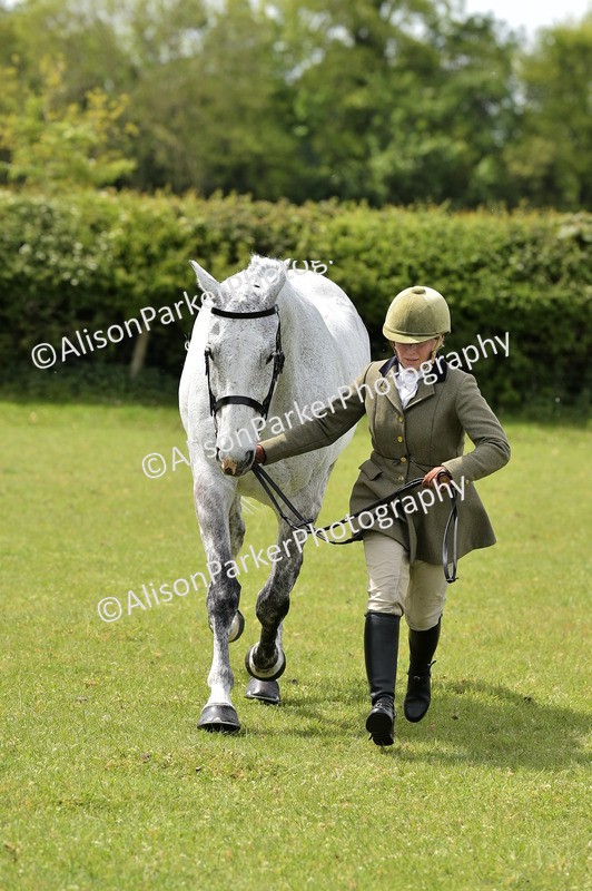 20260426-3694 - Class 22 - Working Hunter