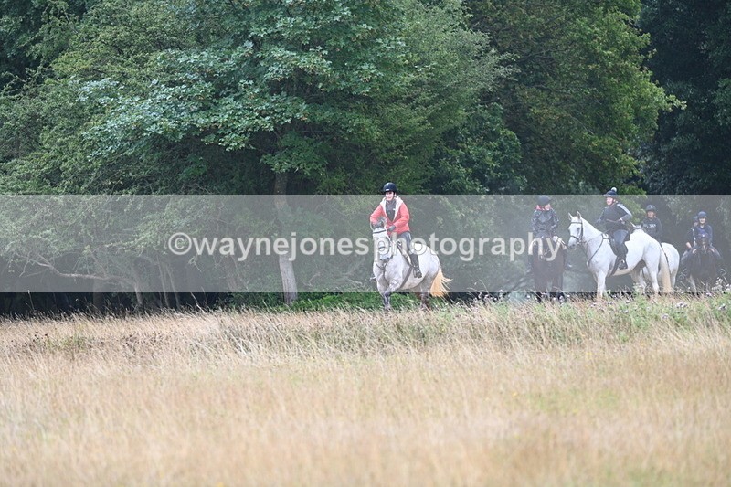 DSC_1421 - Time at Statue 11:54 to 12:12