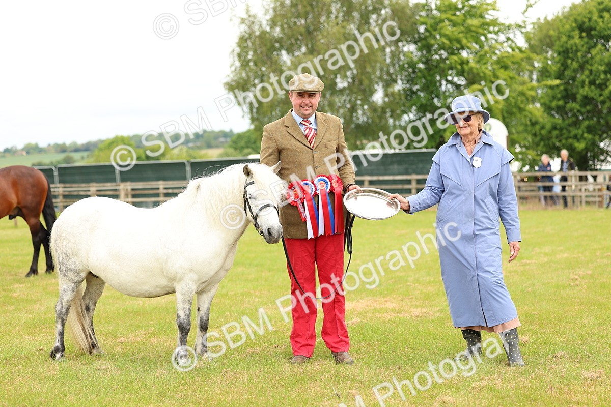 SBM_03590 - Class 58-67 - M&M Non Welsh Pony In hand