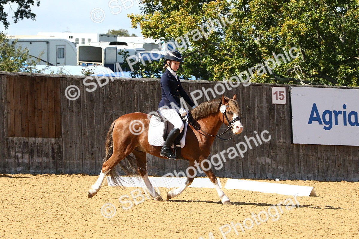 SBM_23508 - D5 - Small Tour Championshop Intro 2