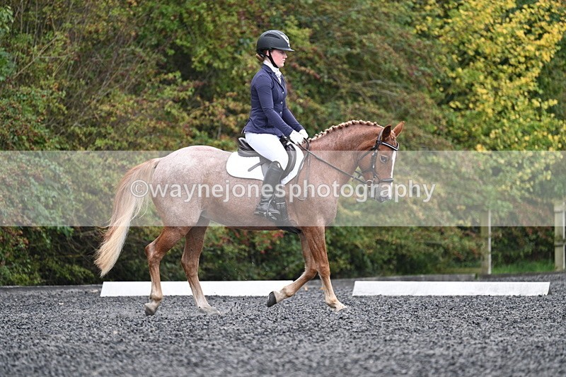 WJ7_3316 - Time 09:54 to 10:54