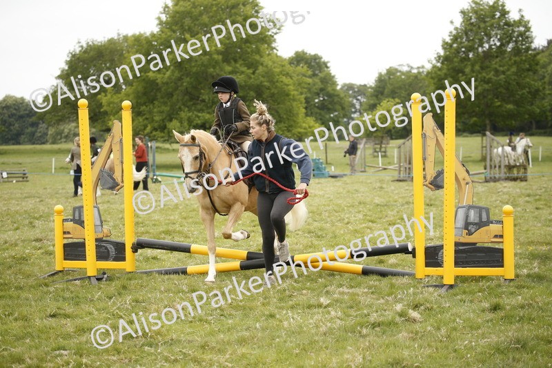 20250517-0206 - Class 1 - 30cm On Lead Rein