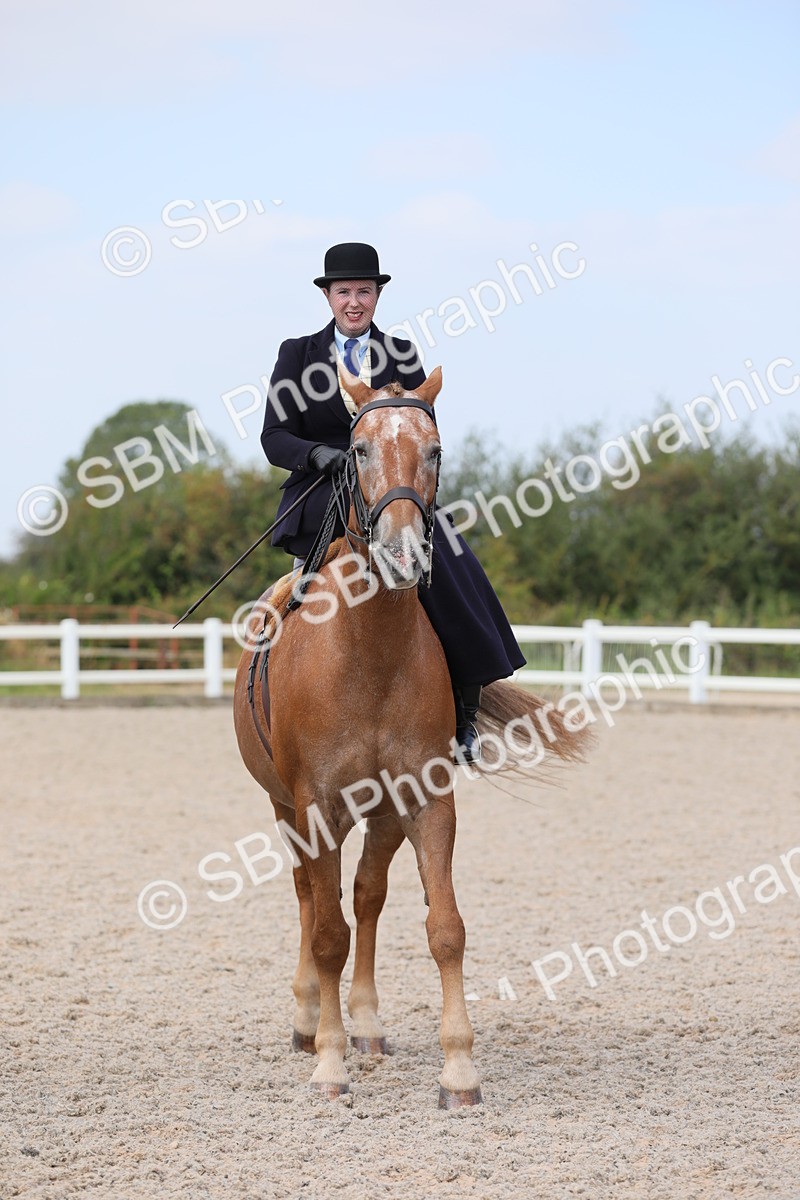 SBM_14584 - Class 211 Best Side Saddle Horse/Pony