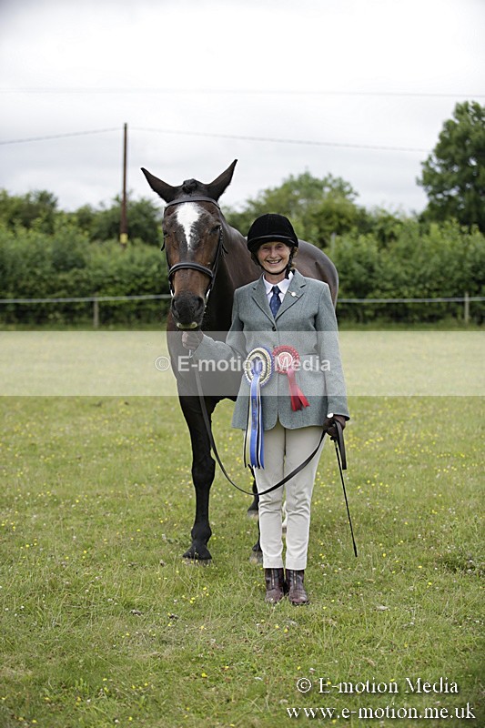 BVR160717-1123 - In Hand Championship 16/07/17