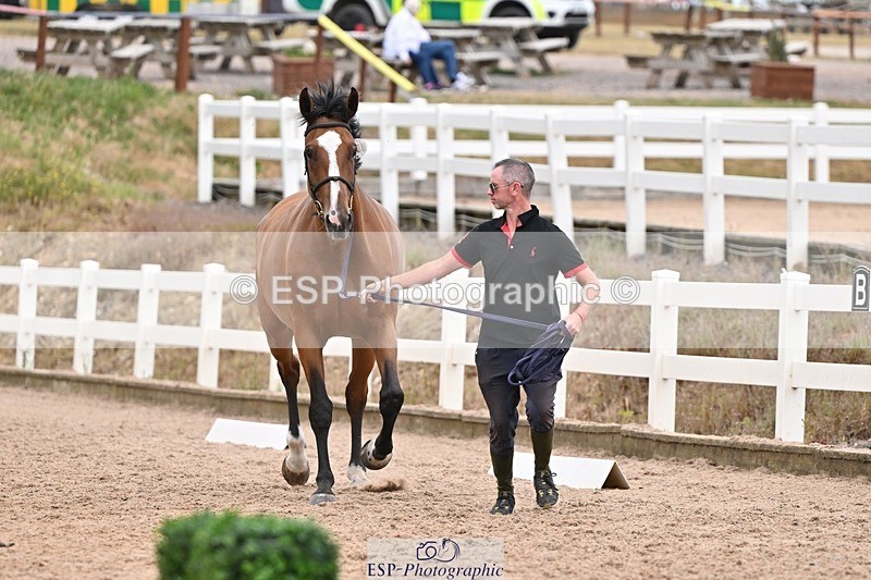 250716-155028-02215 - Trot Up 3.30 to 4.30