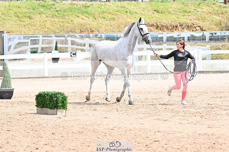 240717A-144340-02239 - Trot Up 2pm to 3pm - This folder is not in time order