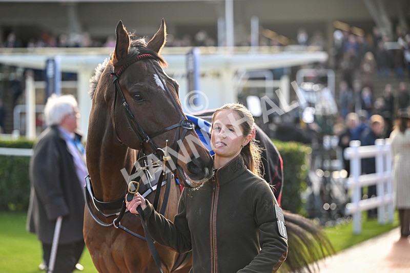 251025-Race 4-Watchful Protector-8751 - Race 4