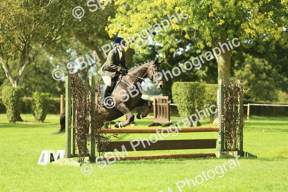 SBM_48027 - S32 - Novice & Newcomers Working Hunter