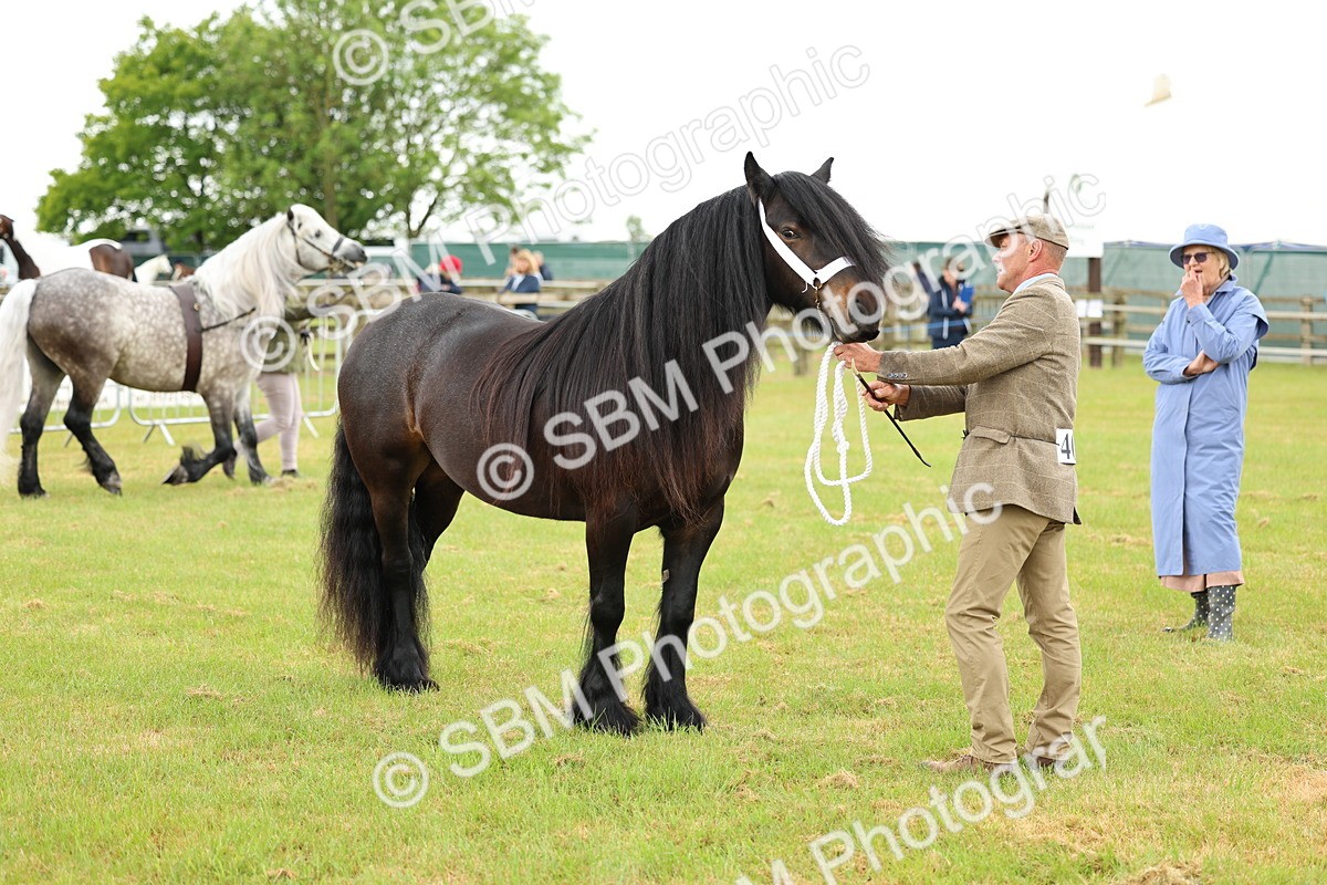 SBM_00509 - Class 58-67 - M&M Non Welsh Pony In hand