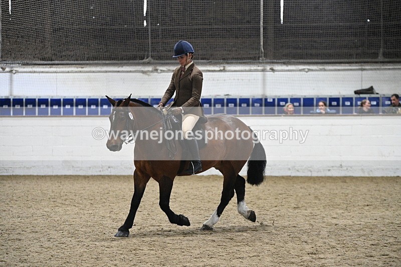 WJ7_3986 - Class 17 Ridden Cob