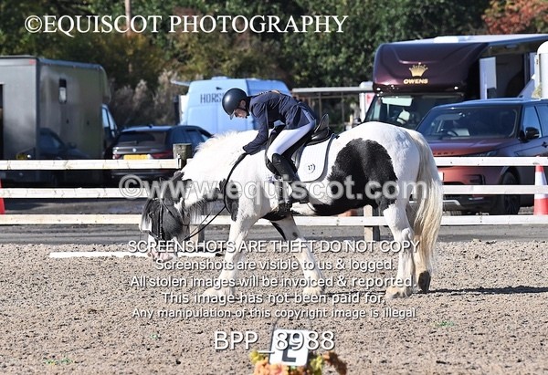 BPP_8988 - SHORT ARENA INTRO 3