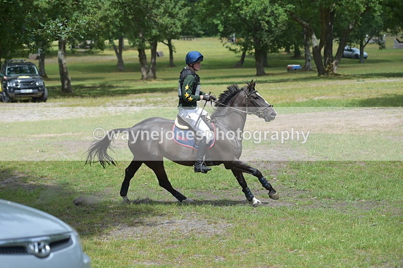 NGP_9425 - Time 13:15 to 13:26