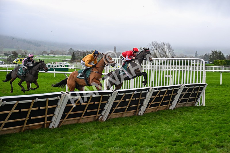 151125-Race 5-Gowel Road-3928 - Race 5