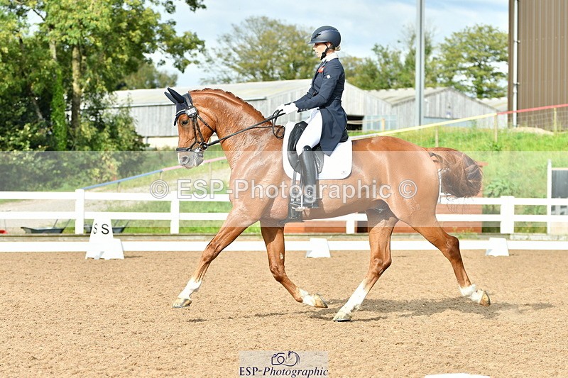 230912A-162813-01779 - Cls 18 FEI PSG