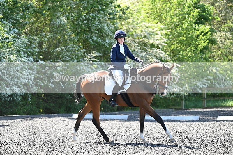 WJ7_9297 - Time 11:56 to 12:08