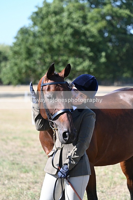 WJ7_1925 - Class 43 Best Six Legs (In hand)