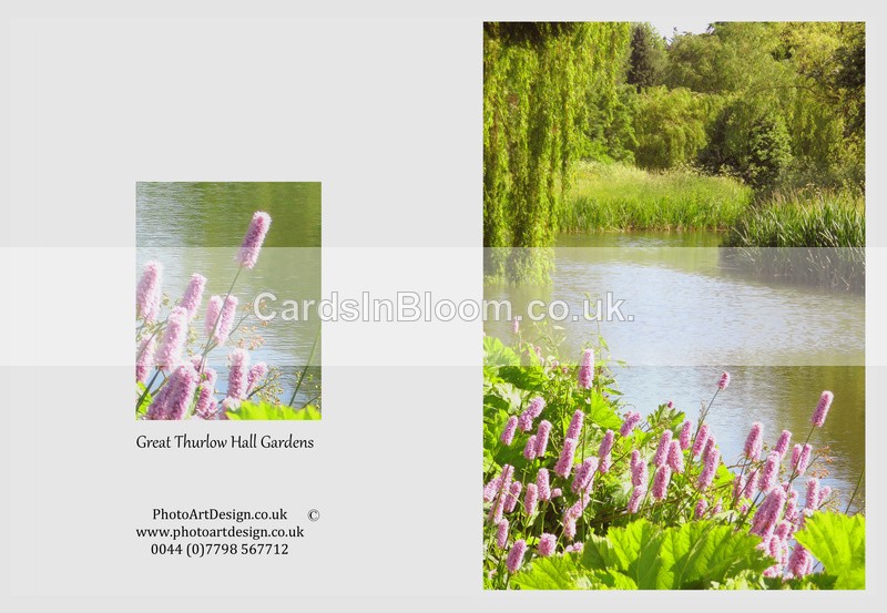013 Thurlow Hall Gardens - Weeping Willow - GARDENS