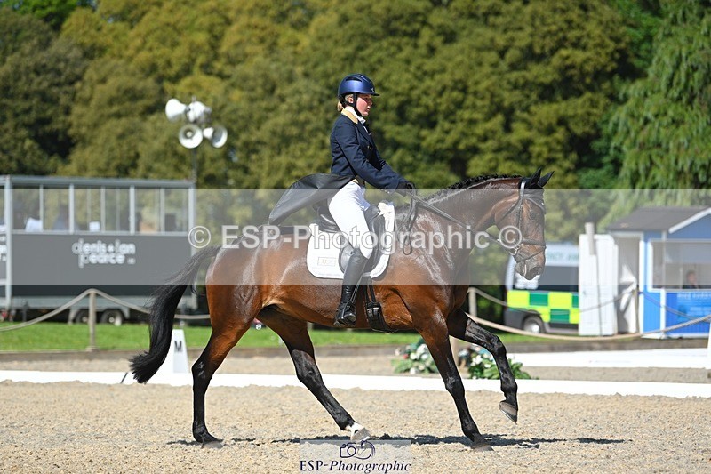 230526-161156-07296 - 254-PURE_TRENDSETTER-Ellie_Fredericks-WEDTrotUp+DR