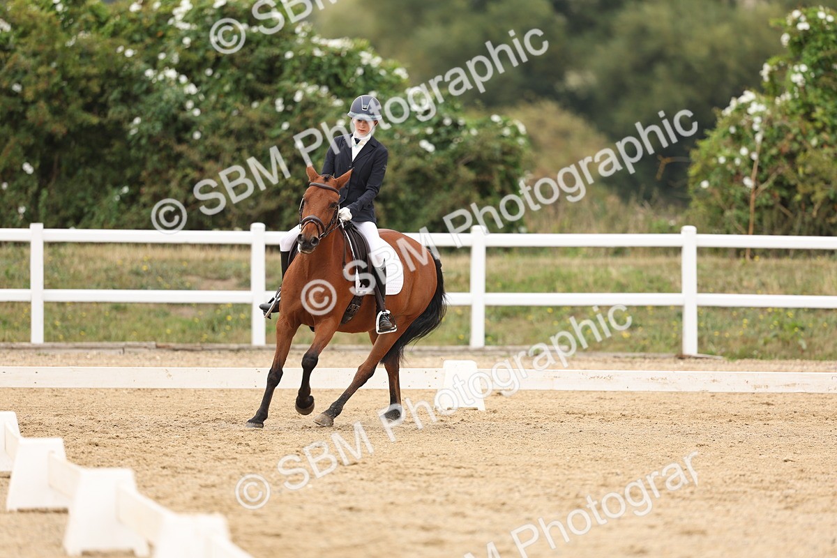SBM_01534 - Class 9 - Novice 27 Champs