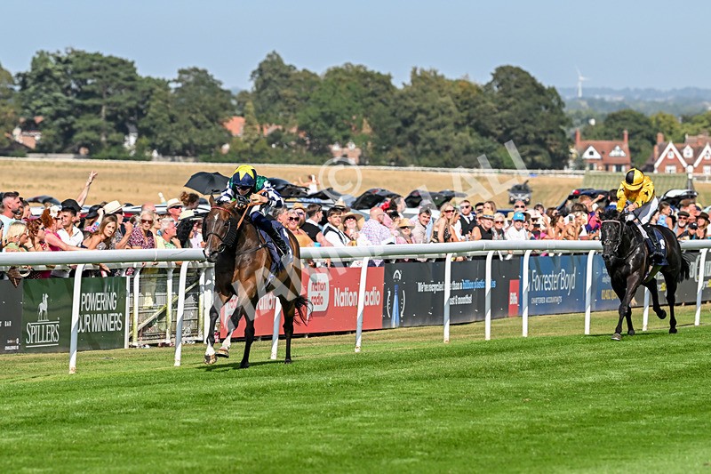 130825-Race 5-Bell Shot-8877 - Race 5