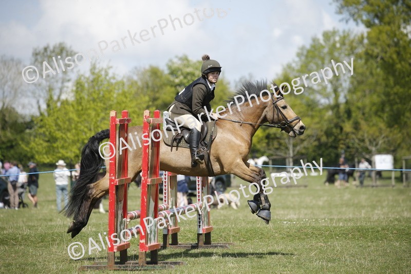 20250427-3476 - Class 14 - Absolute Novice 70cm
